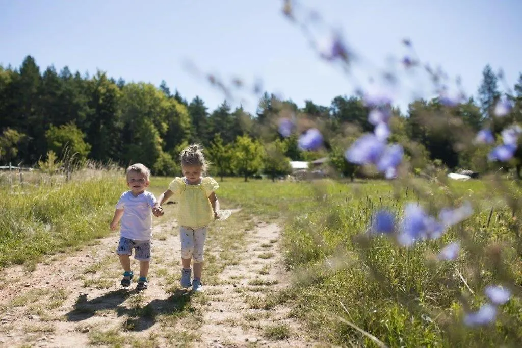 Familienhotel Friedrichshof Obertrubach Niemcy